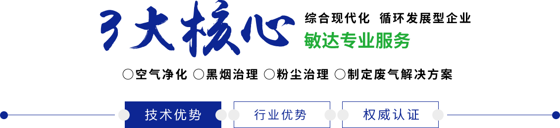 大逼视频大全敏达环保科技（嘉兴）有限公司